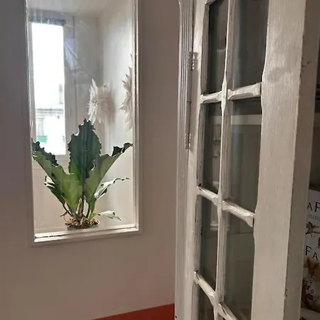 Un Fabuleux Decor Pour Un Chaleureux Appartamento
